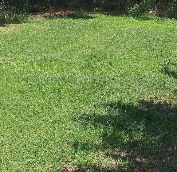 ベッドアンドブレックファースト Daillu