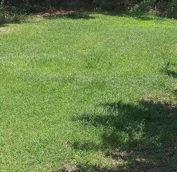 ベッドアンドブレックファースト Daillu