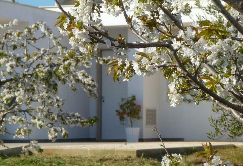 住宿加早餐  Il Giardino Dei Ciliegi