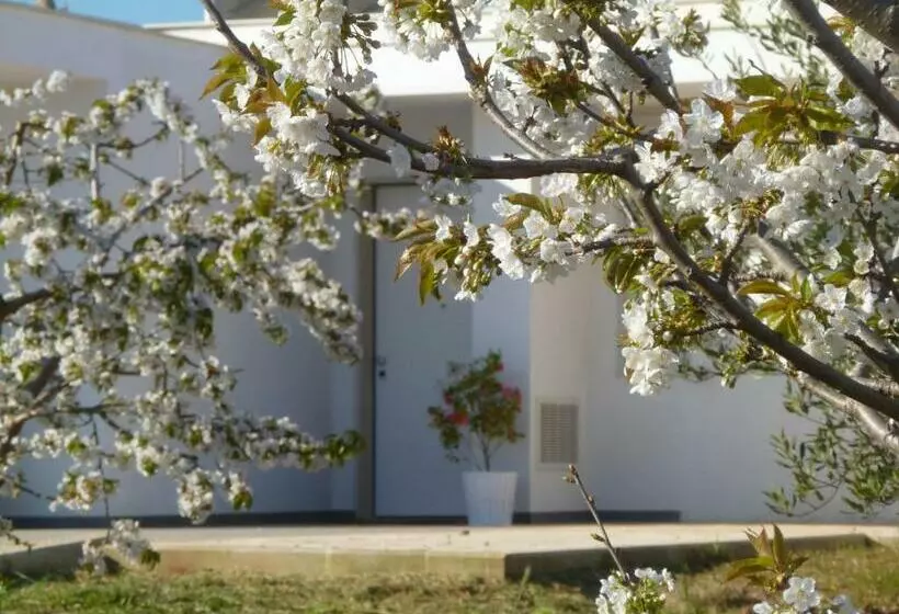 Aamiaismajoitus (B&B) Il Giardino Dei Ciliegi