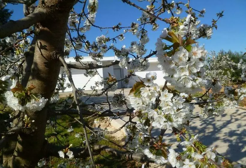 Aamiaismajoitus (B&B) Il Giardino Dei Ciliegi