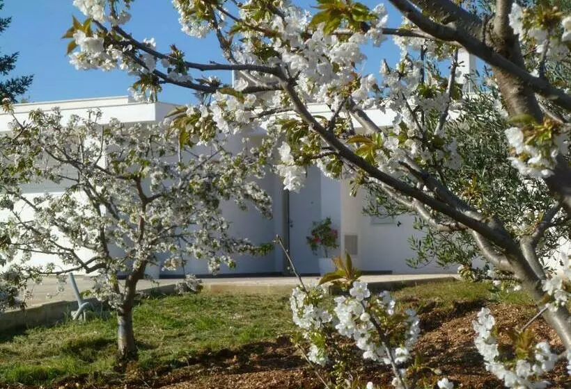 Aamiaismajoitus (B&B) Il Giardino Dei Ciliegi