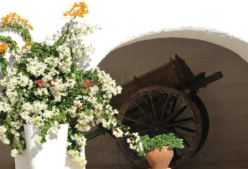 Bed and Breakfast Masseria La Brunetta