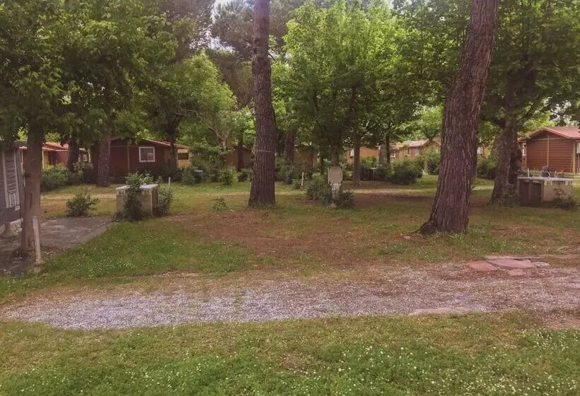 Hotelli Camping Village Versilia Mare