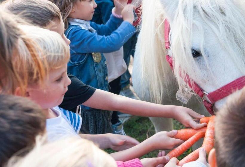 乡村酒店  Agriturismo Campallegro