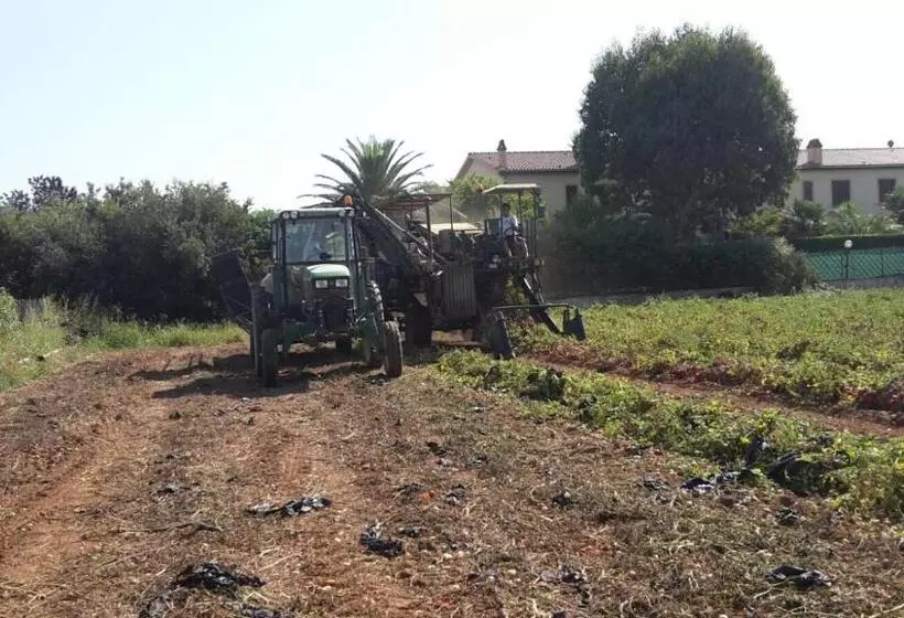 Maaseutuhotelli Agriturismo Campallegro