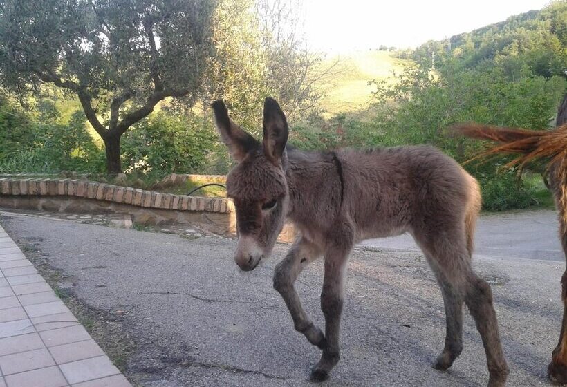 Сельский отель Agriturismo La Vecchia Fontana