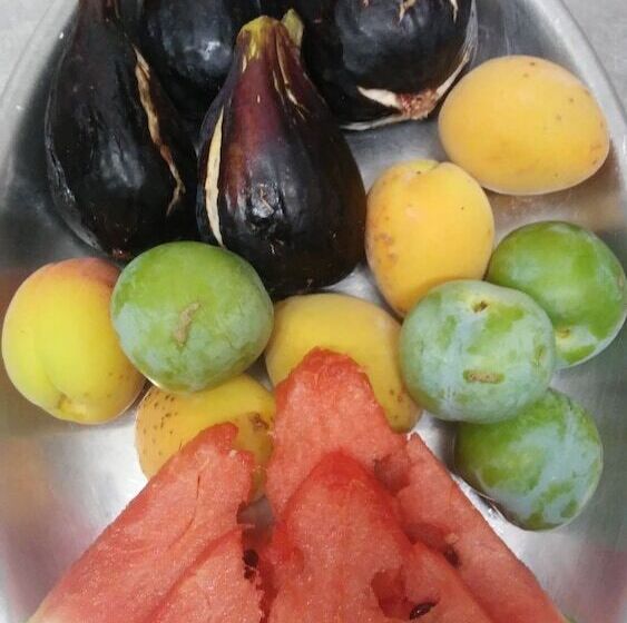 Сельский отель Agriturismo La Vecchia Fontana