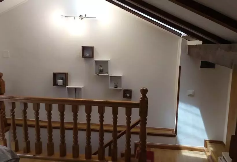 پانسیون Guest House Mafi