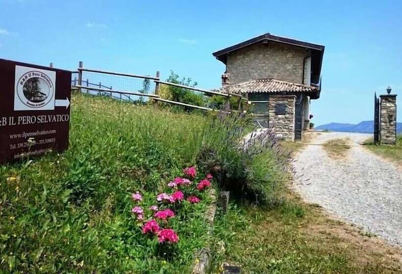 B&b Il Pero Selvatico