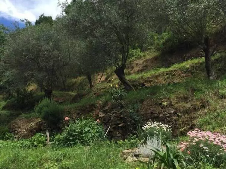 Aamiaismajoitus (B&B) Il Capriolo  Bed&breakfast