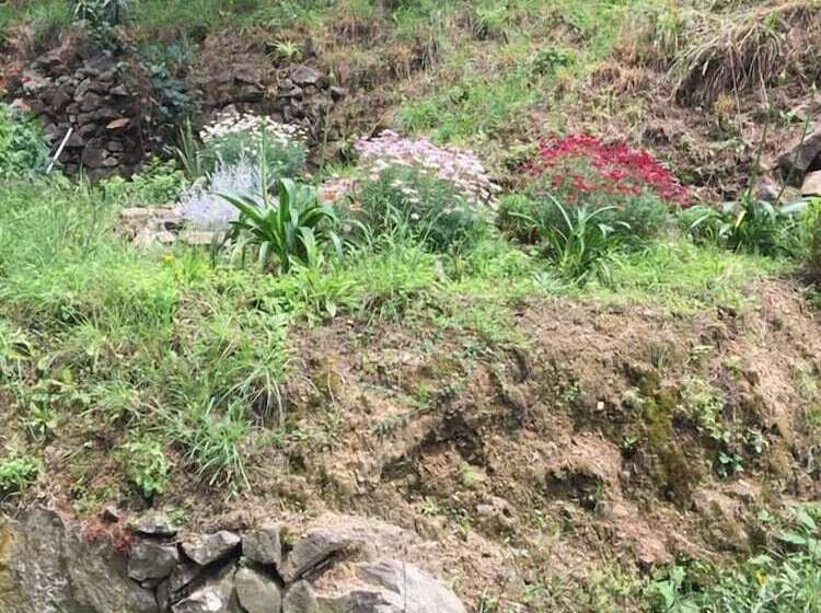 ベッドアンドブレックファースト Il Capriolo  Bed&breakfast