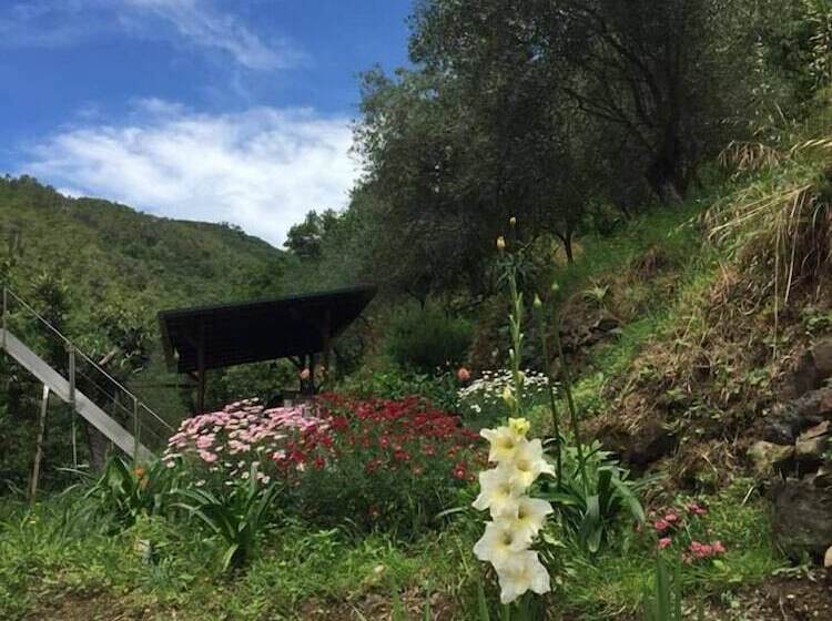 ベッドアンドブレックファースト Il Capriolo  Bed&breakfast