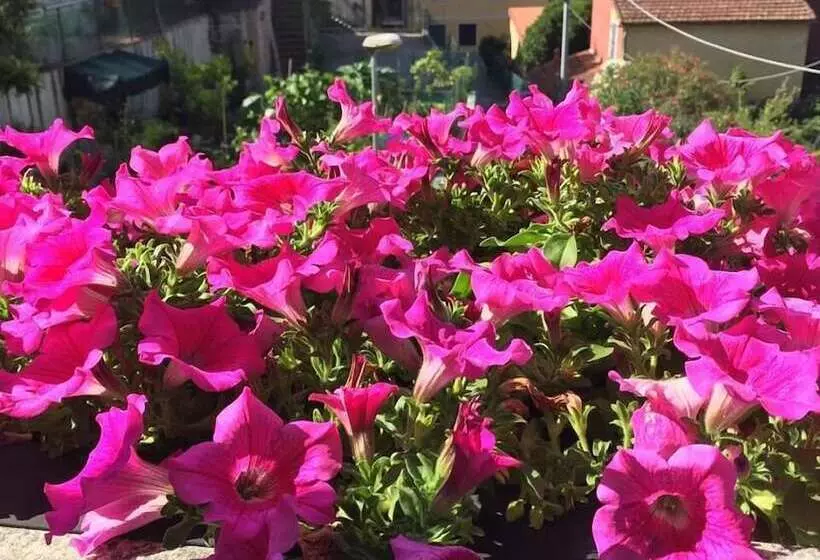 Aamiaismajoitus (B&B) Il Capriolo  Bed&breakfast