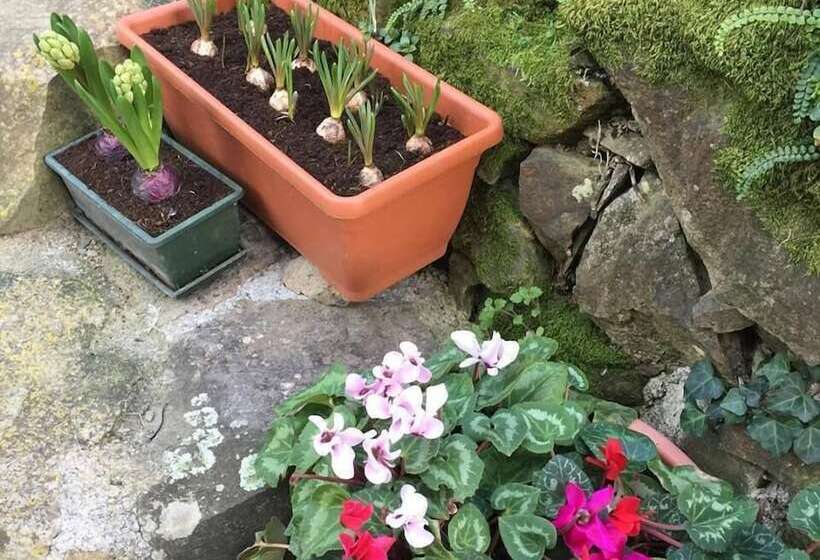 ベッドアンドブレックファースト Il Capriolo  Bed&breakfast