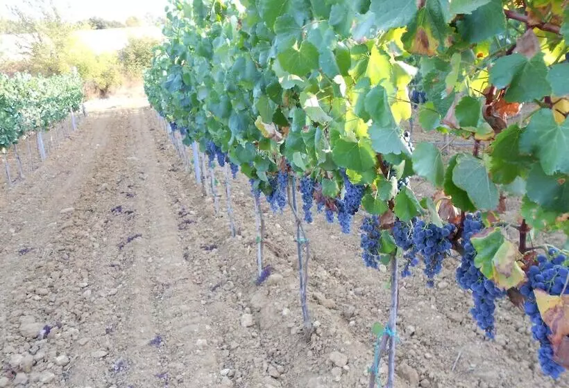 Maaseutuhotelli Agriturismo I Casamenti