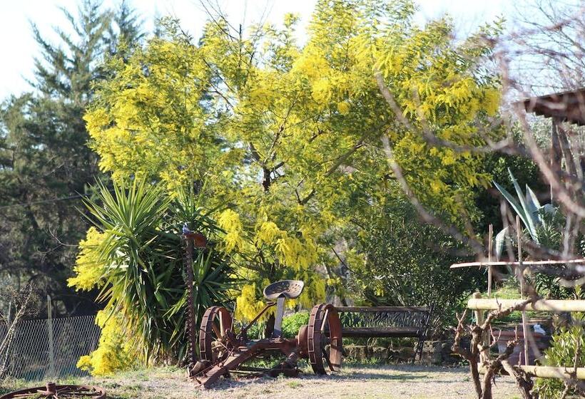 田舎風ホテル Agriturismo I Casamenti