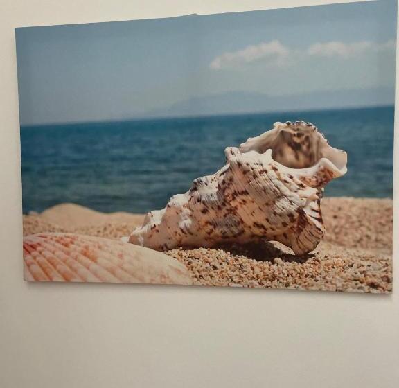 Pensjonat Case Vacanza Trappetodavivere