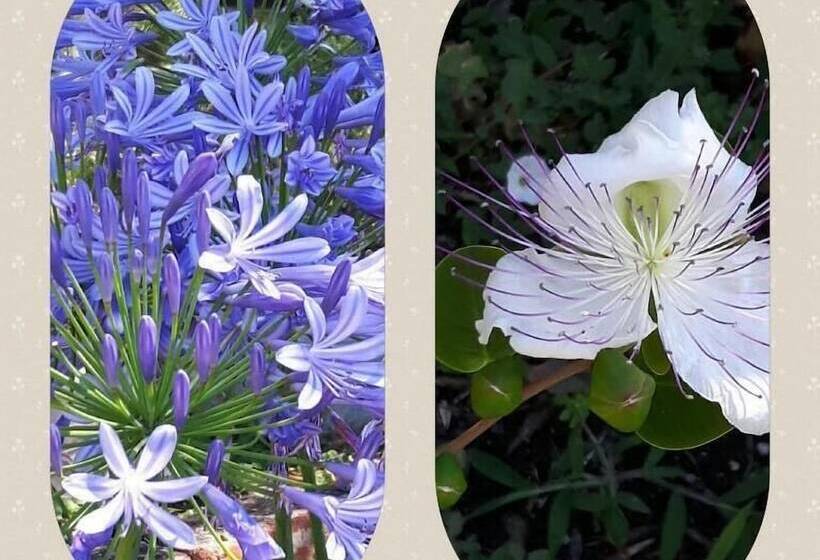 B&b La Casa Sul Colle