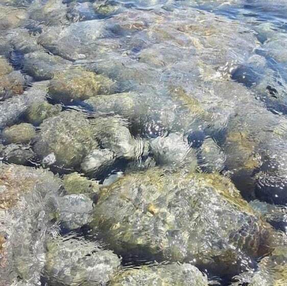 B&b La Casa Sul Colle