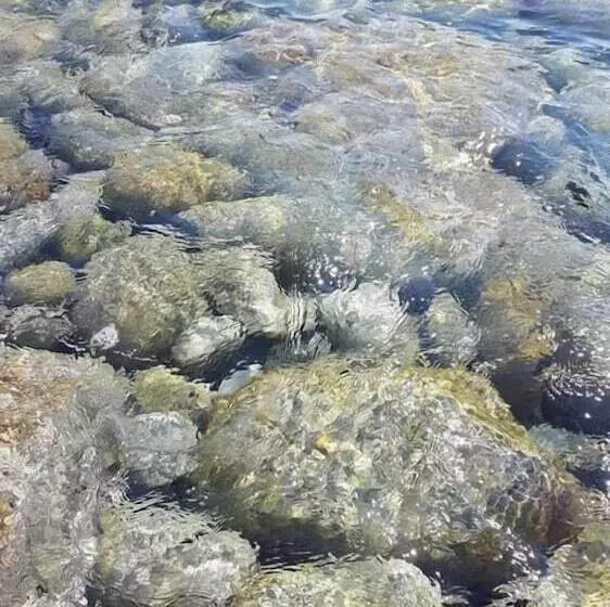 B&b La Casa Sul Colle