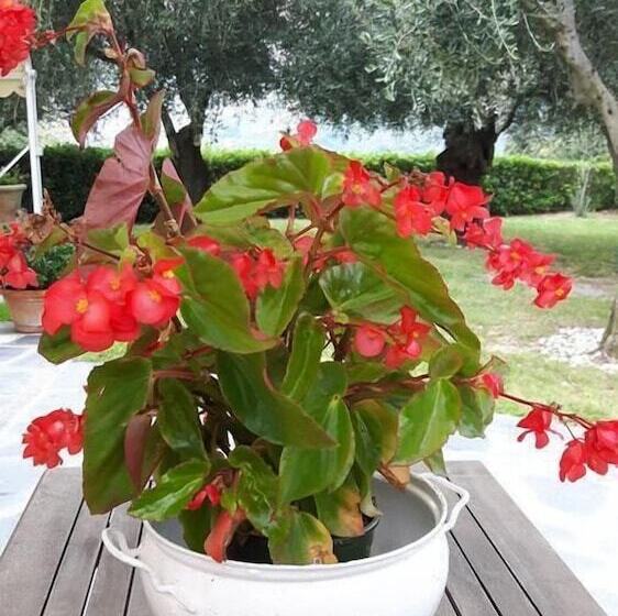 B&b La Casa Sul Colle