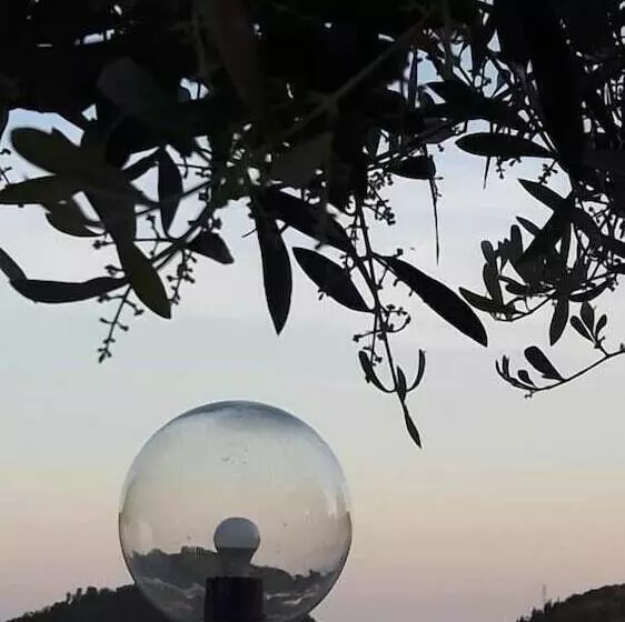 B&b La Casa Sul Colle