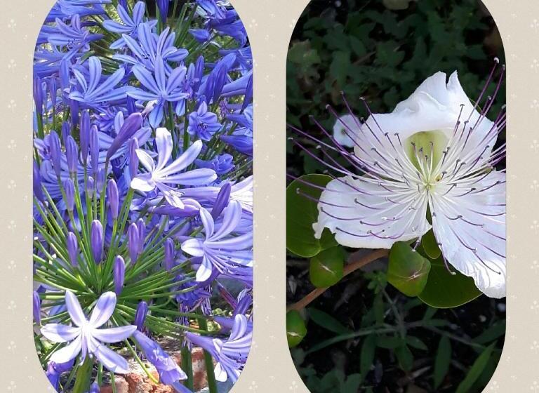 B&b La Casa Sul Colle