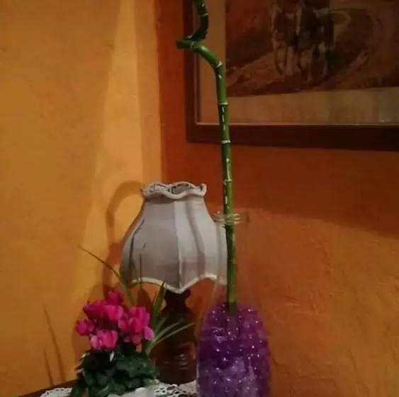 Aamiaismajoitus (B&B) Il Castagneto