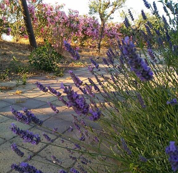 Bed and Breakfast Torre Del Lago