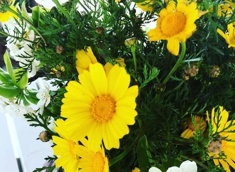 בית מלון כפרי Villino Odaldo