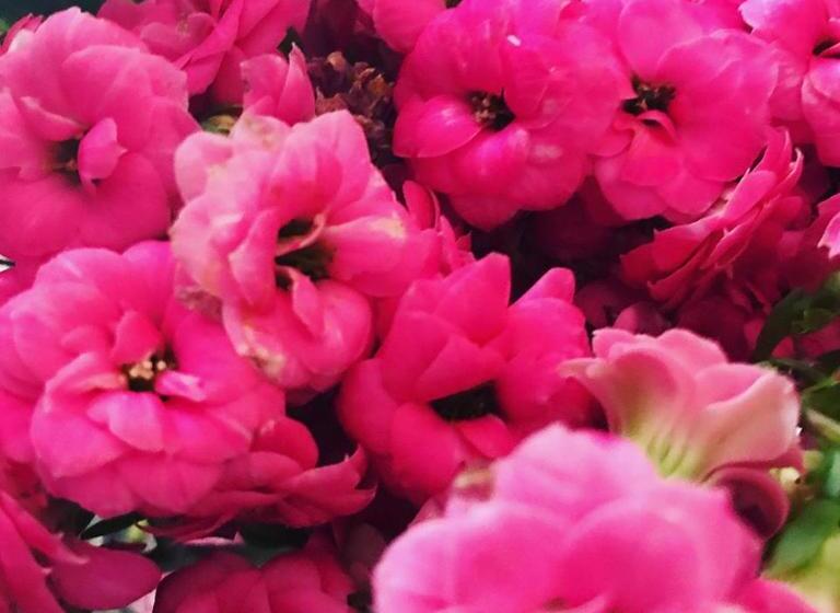 בית מלון כפרי Villino Odaldo