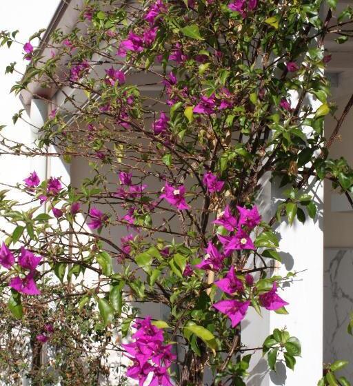 Le Marinelle Trani B&b