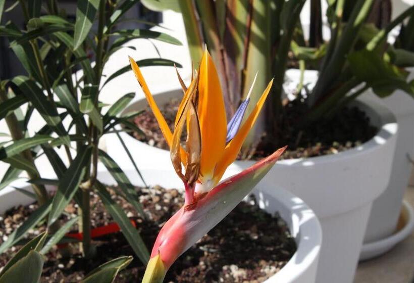 Le Marinelle Trani B&b