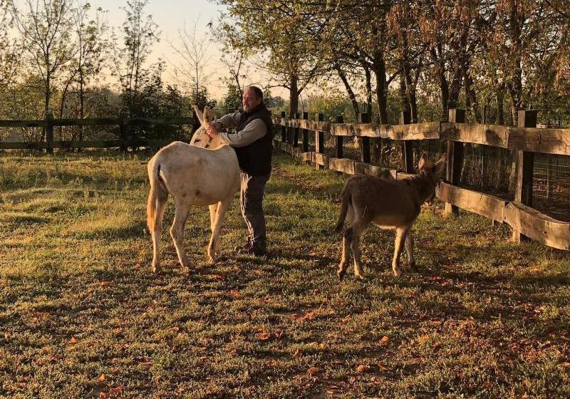 Tenuta Antico Monastero