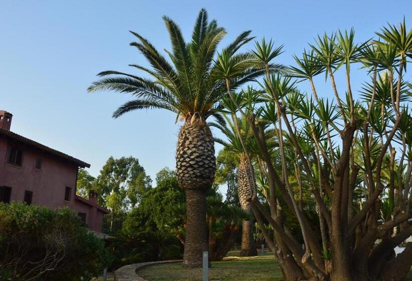 ベッドアンドブレックファースト Casarealia