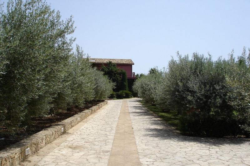 ベッドアンドブレックファースト Casarealia