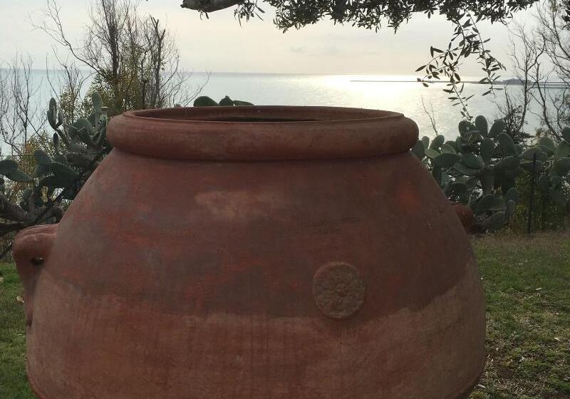 ベッドアンドブレックファースト Casarealia