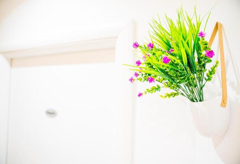 تختخواب و صبحانه Guest House Mr. Brown