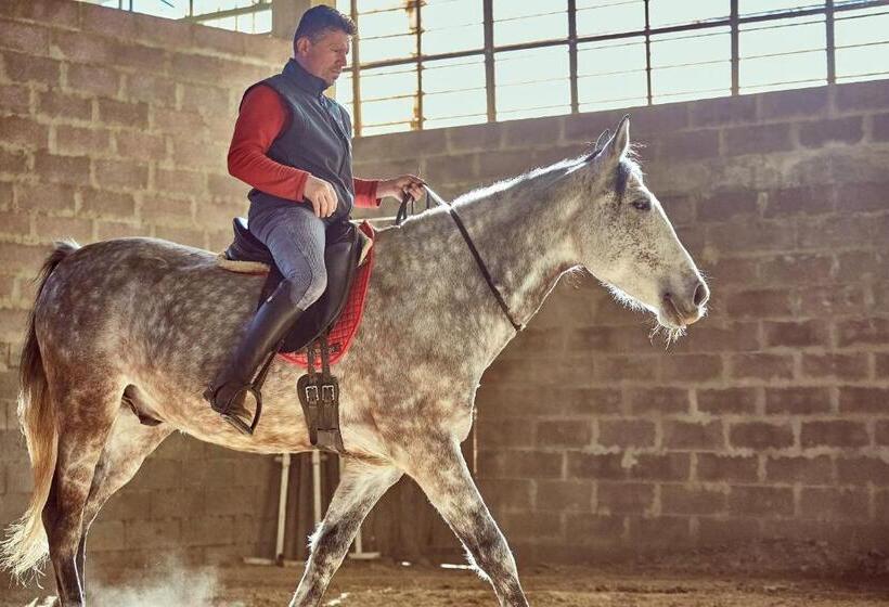 فندق ريفى Az.agr. Il Cavalleggero