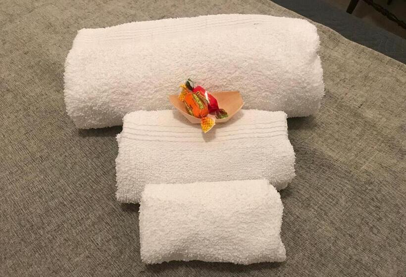 住宿加早餐 Bonorum