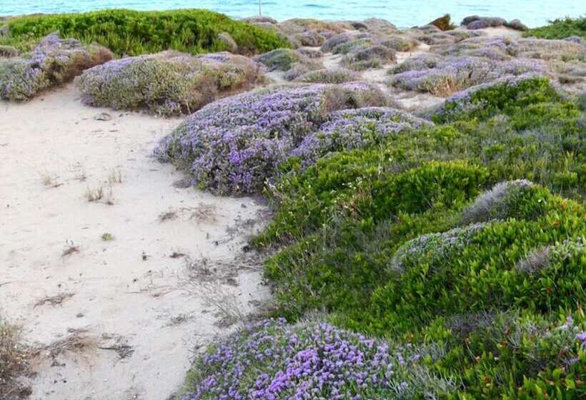 Bed & Breakfast Le Vele