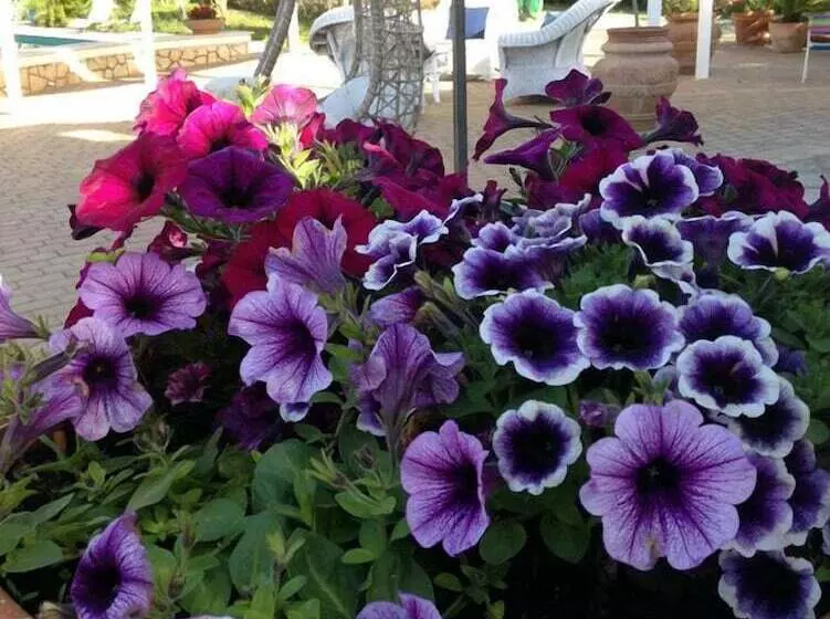 Bed & Breakfast Le Vele