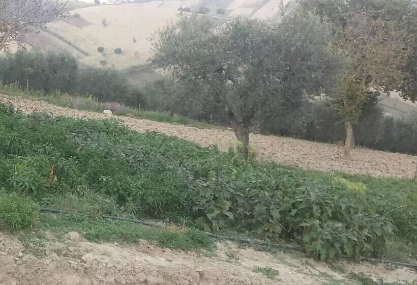 田舎風ホテル Agriturismo La Fortezza