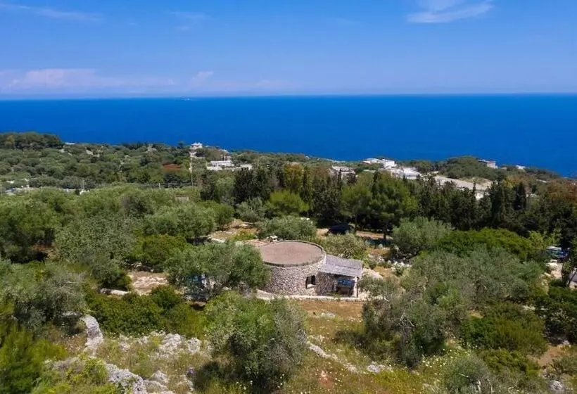 Majatalo Pajara Rugiada