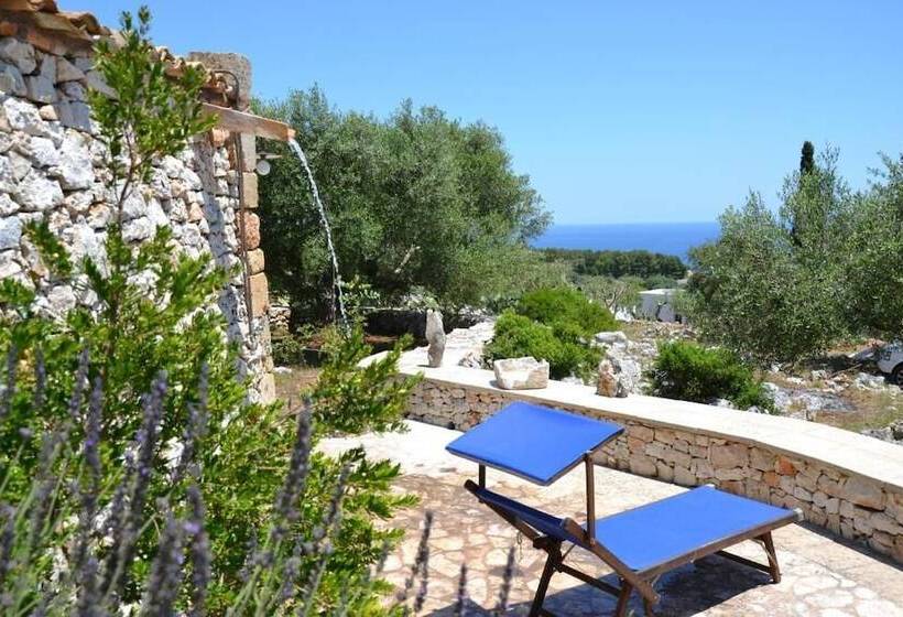 بنسيون Pajara Rugiada