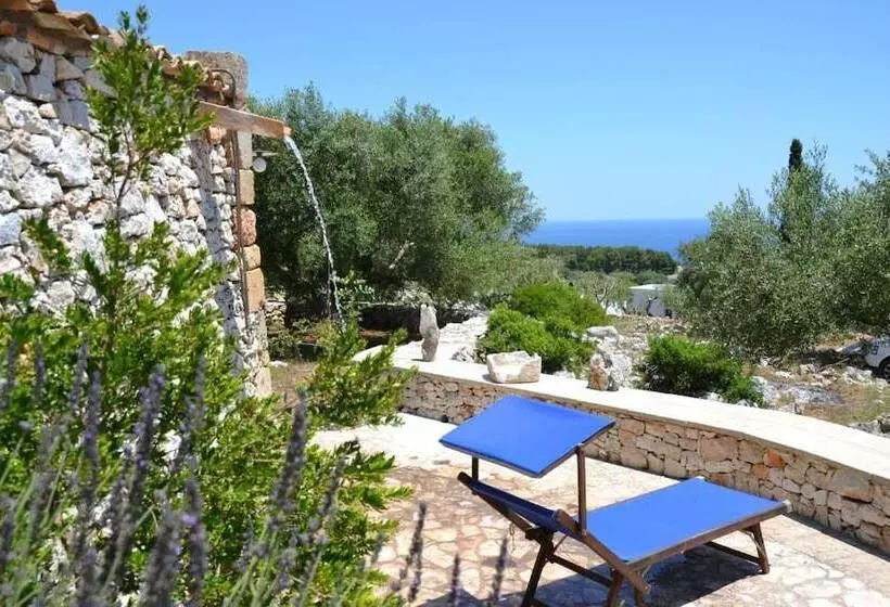 Majatalo Pajara Rugiada