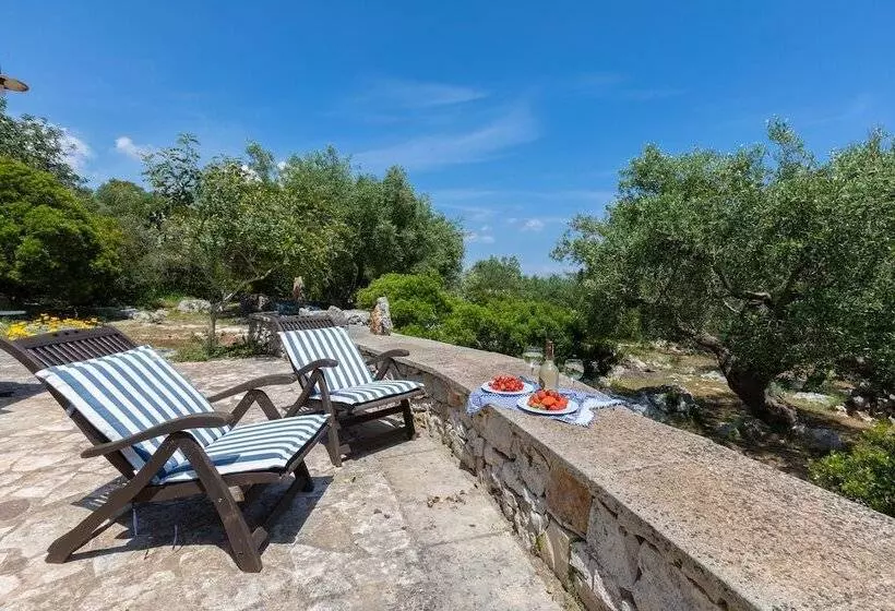 Majatalo Pajara Rugiada