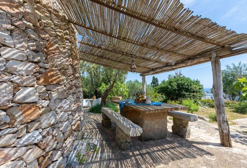 بنسيون Pajara Rugiada