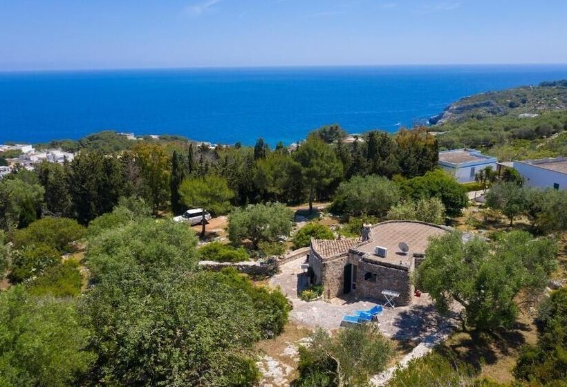 بنسيون Pajara Rugiada